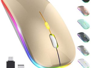 【ترقية】 ماوس لاسلكي LED ، فأرة مكتب ضوئية محمولة رفيعة قابلة لإعادة الشحن 2.4 جيجا مع مستقبل USB & Type-c ، 3 نقاط في البوصة قابلة للتعديل لأجهزة الكمبيوتر المحمول والكمبيوتر الشخصي والكمبيوتر المحمول والكمبيوتر المكتبي (ذهبي)