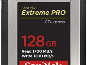 بطاقة SanDisk Extreme PRO CFexpress Type B بسعة 128 جيجا بايت - SDCFE-128G-GN4NN