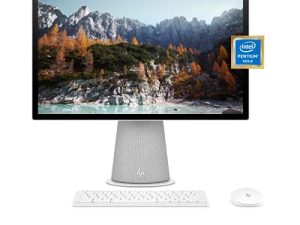 كمبيوتر مكتبي HP Chromebase 21.5 "الكل في واحد ، معالج Intel Pentium Gold 6405U ، ذاكرة وصول عشوائي 4 جيجابايت ، 128 جيجابايت SSD ، شاشة لمس IPS عالية الدقة دوارة ، نظام تشغيل Chrome ، لوحة مفاتيح بلوتوث ومجموعة ماوس (22-aa0022 ، 2021)