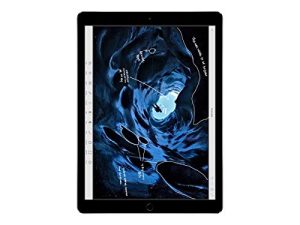 آبل آيباد برو (256 جيجابايت ، شبكة Wi-Fi + شبكة خلوية ، رمادي فلكي) شاشة مقاس 12.9 بوصة ML3T2LL / A (متجددة)
