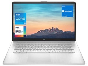كمبيوتر محمول بشاشة عالية الدقة مقاس 17.3 بوصة من HP ومعالج Intel Core i5-1135G7 وذاكرة وصول عشوائي DDR4 بسعة 32 جيجا بايت و 1 تيرابايت PCIe SSD و Type-C و HDMI و Wi-Fi و Bluetooth وكاميرا ويب و Windows 11 Home ، فضي